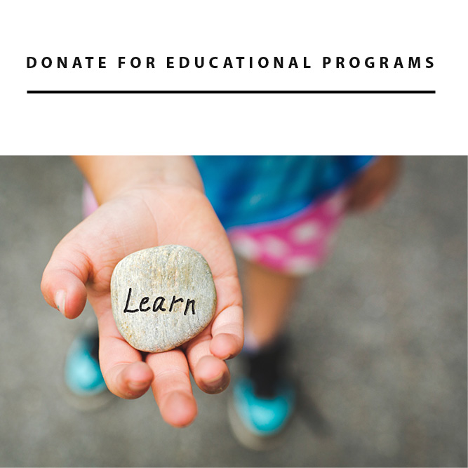 Donate for Education