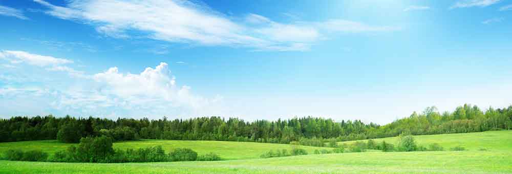 blue-sky-green-field-1000x400